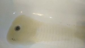 Проверяем лайфхак/Ужасная хозяйка своей машинки/Чистим стиральную машинку лимонной кислотой/#лайфха