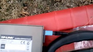 Определение активного волокна в полевых условиях