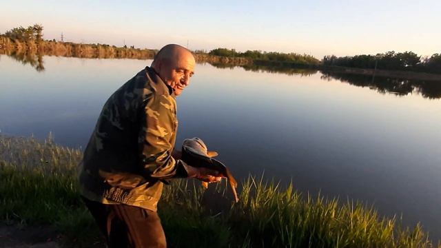 Платная рыбалка, пруд Черноморец 25.05.20г. Улов рыбака. смотреть онлайн