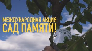 "Сад памяти" Делаем родной город лучше - посадили деревья в преддверие Дня Победы!