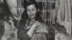 СТИХИ О ЛЮБВИ.ЮЛИЯ ДРУНИНА .Читает Злата Лакоют.