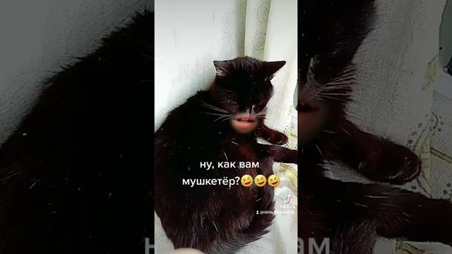 Ну, как вам мушкетёр.mp4