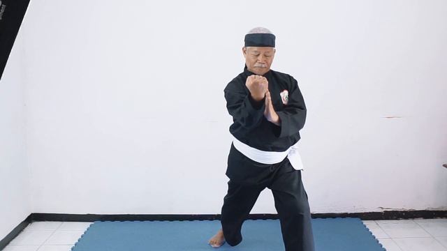 How to learn pencak silat | Basic Silat Techniques PART 1