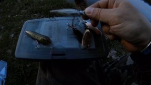 Приманки для жереха. Выбор новичкам.