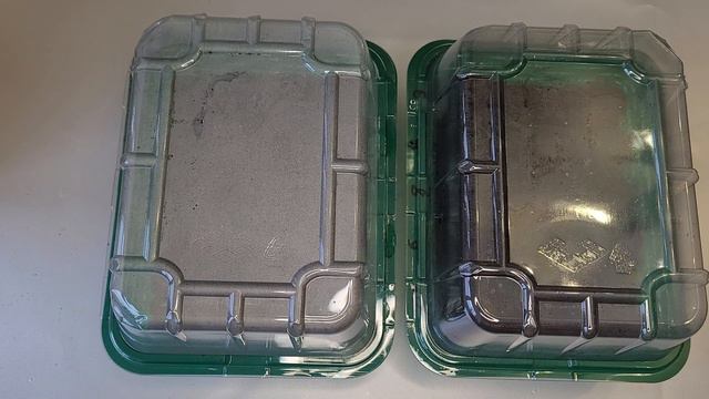 Начало посевного сезона 2022. Эустома. смотреть онлайн