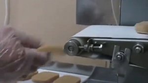 ИПКС-123(Н) Котлетный автомат