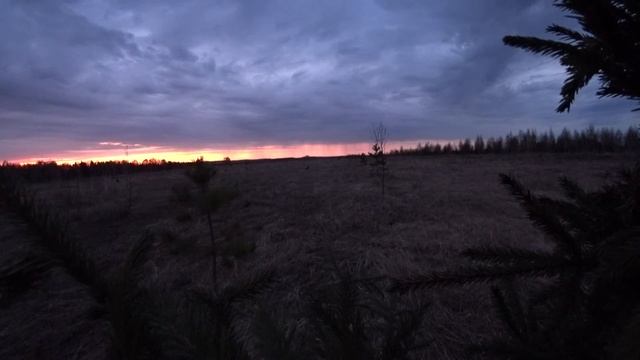 Интересная охота по тетереву на току из шалаша 2021. смотреть онлайн