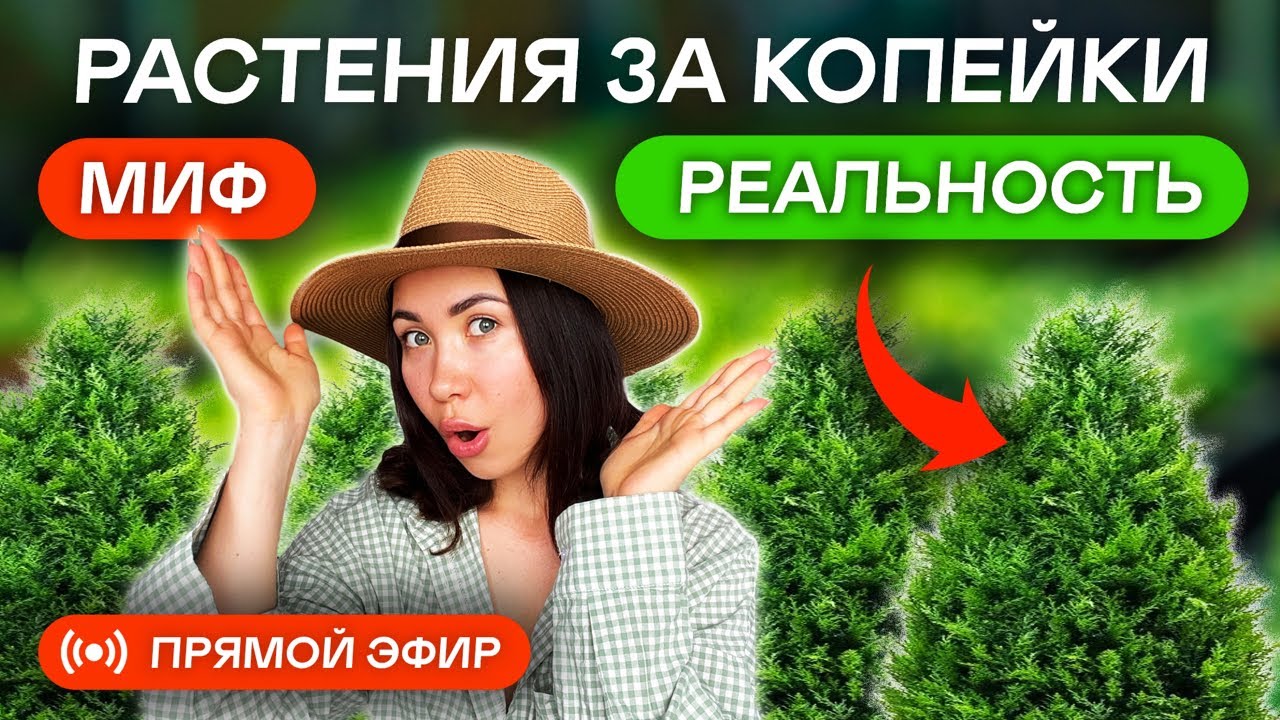 САД-БОМБА за копейки! Сколько стоят гортензии и туи в Экопланте