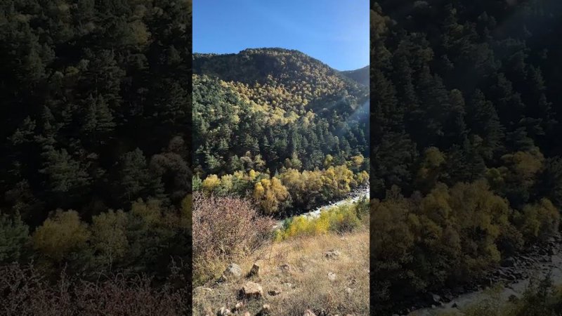 #Autumn #nature in the Caucasus mountains