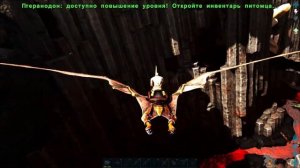 Как приручить Виверну Арк 2022 Рагнарек!