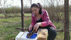 Лесная кухня совместно с Анатолий Матвиенко