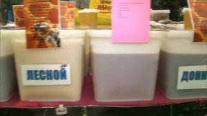 Ярмарка мёда в Москве, как выбрать натуральный мёд от пчеловода?