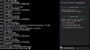 07 3 Environment Variables