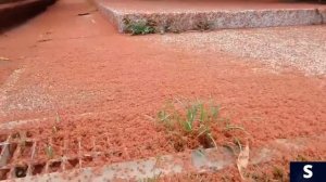 Самые удивительные явления природы