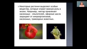 Биология 6 класс 27-28 недели. Выделение. обмен веществ и энергии