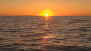 Спокойной ночи, сладких снов!!!