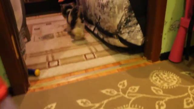 кроха бивер смотреть онлайн