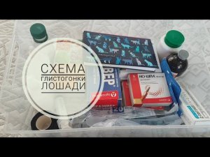 СХЕМА ГЛИСТОГОНКИ коней / Как правильно глистогонить лошадь от личинок оводов. Конная аптечка