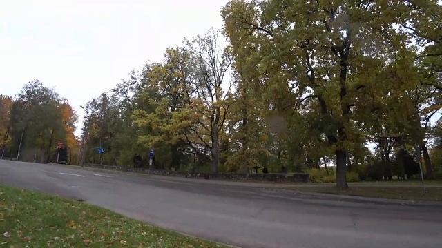 День прогулки и мои покупки #жизньданки