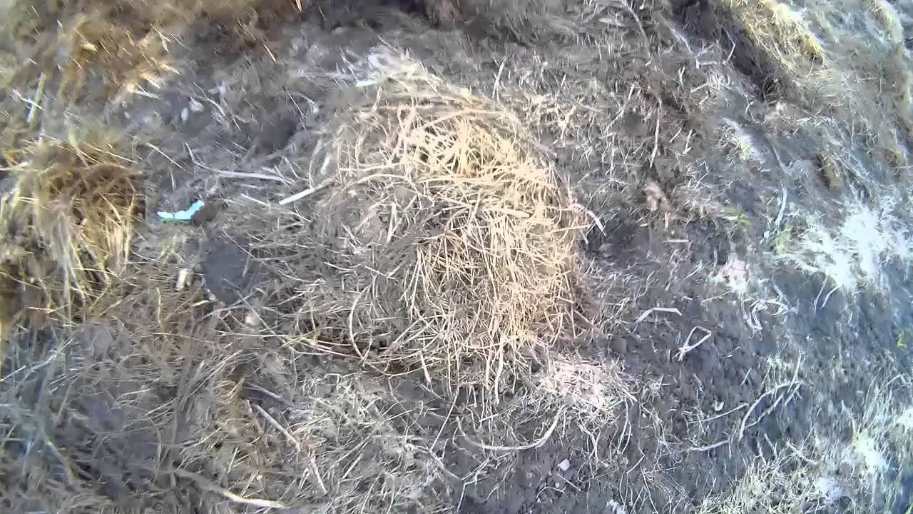 РАБОТА- ДУРАКА ЛЮБИТ!!!!
