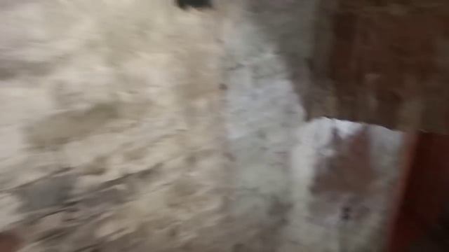 Гроты и водоснабжение фонтанов Петродворца. И, конечно, подземный ход до Ропши!???