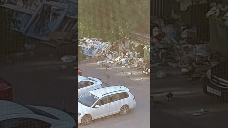 Мусор и воронв
