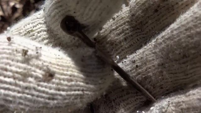 Среди дубов. Староверческий крестик. смотреть онлайн