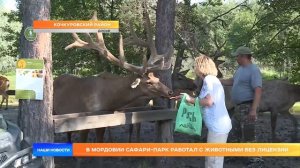 В Мордовии сафари-парк работал с животными без лицензии