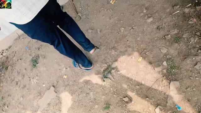 Market Vlogs | Market Vlog Video | Market Vlog Channel | Market Vlogs 1 | Market Bloggers #firstvlo смотреть онлайн