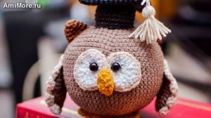 Амигуруми: схема Учёная сова. Игрушки вязаные крючком - Free crochet patterns.