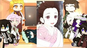 past hashira's react to nezuko||Timeline: Before Giyuu met Tanjiro and Nezuko||
