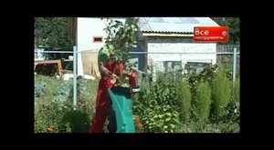 Обзор садовых измельчителей