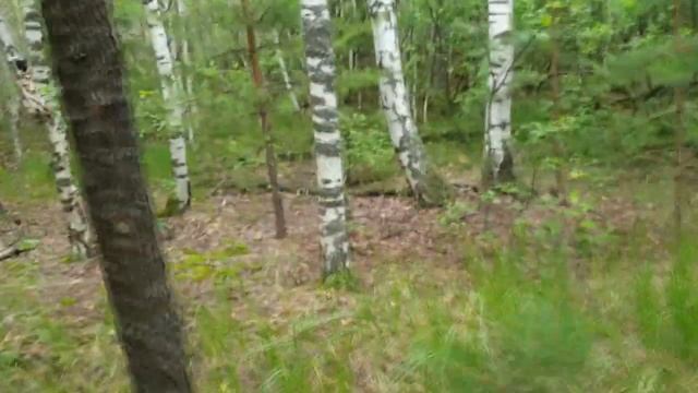 Газ 66 автодом  Выезд в лес.