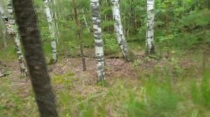Газ 66 автодом  Выезд в лес.