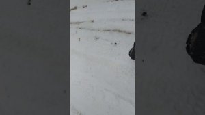 Электро самокат 2х2  - зимой по снегу .