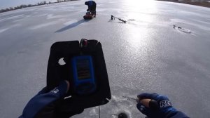 ПО 10 ШТУК С ЛУНКИ! ЖОР СУДАКА НА ВИБЫ! ЗИМНЯЯ РЫБАЛКА СО ЛЬДА