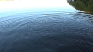 Трофейная рыбалка на реке Ляпин. ХМАО. Сентябрь 2017