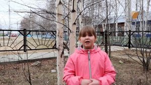 Стихотворение с. Васильева "Я помню ранило березу"