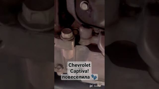 Chevrolet Captiva!повеселила и..расстроила!