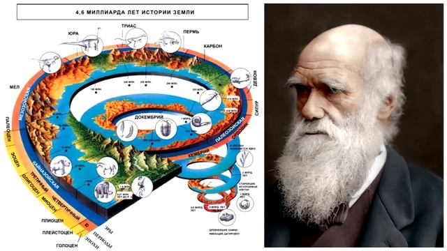Теория эволюции (подборка эфиров) смотреть онлайн
