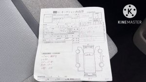 Зелёный угол Обзор, цены TOYOTA PASSO 2019, T.ROOMY, T.VITZ Владивосток 23.11.2022.