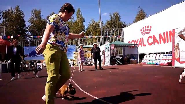 Гоша ставрополь смотреть онлайн