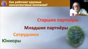 Как работают крупные консалтинговые компании по И.Л.Викентьву