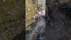 Песчаный карьер 8 апреля 2023