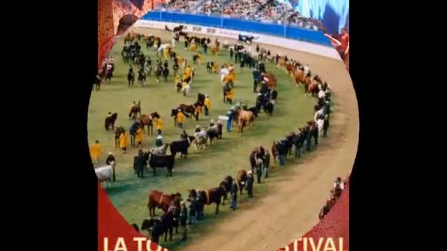 Festivals Around The World-GVC1410