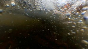 Крушение катамарана. Сплав по реке Винча. Июнь 2022.