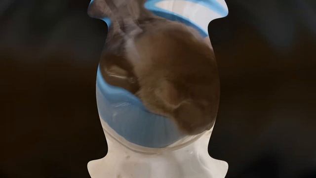 Как убрать многолетнюю пыль в труднодоступных местах при помощи кота. смотреть онлайн