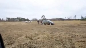 На что смотреть при покупке HONDA CRV III