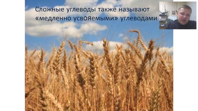 Дмитрий Синкевич. Вся правда о еде или Зачем нам этот Вэлнес? смотреть онлайн
