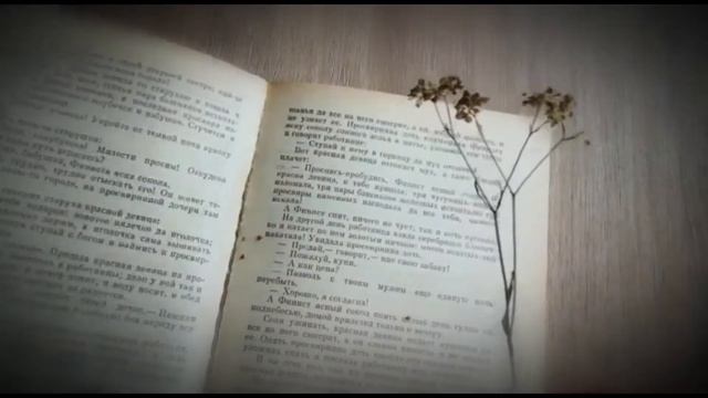Мусина Арина читает стихотворение Пушкина "Цветок"